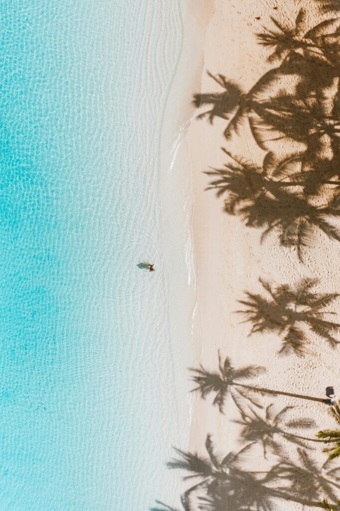 pexels-photo-4602277-4602277 Aerial shot of palm tree shadows on a serene white sand beach with turquoise waters in Hawaii.
